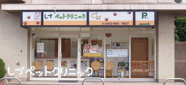 志津ペットクリニック